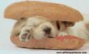 sO cUtE!!
